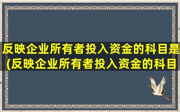 反映企业所有者投入资金的科目是(反映企业所有者投入资金的科目是哪个)