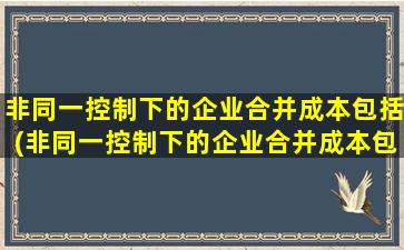 非同一控制下的企业合并成本包括(非同一控制下的企业合并成本包括哪些费用)