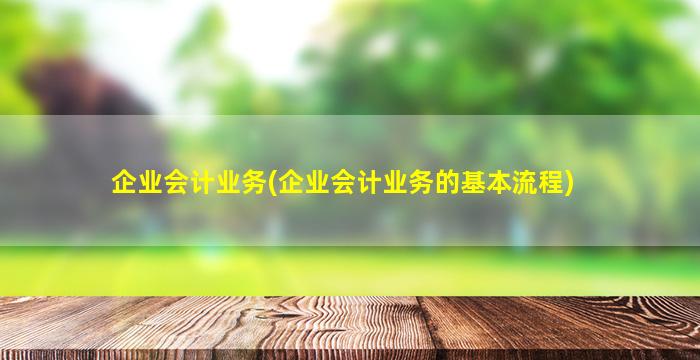 企业会计业务(企业会计业务的基本流程)