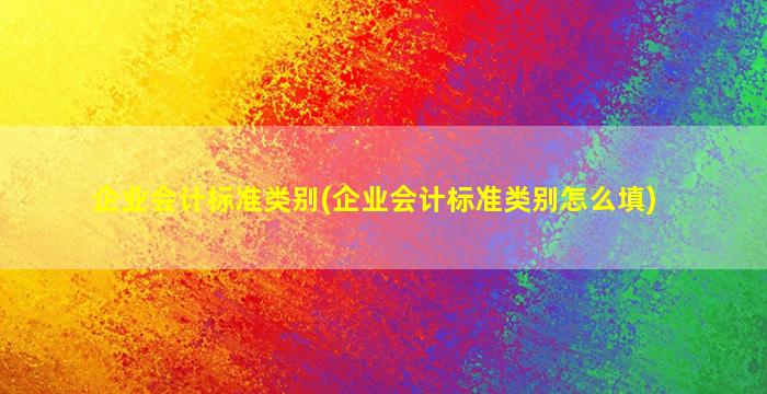 企业会计标准类别(企业会计标准类别怎么填)